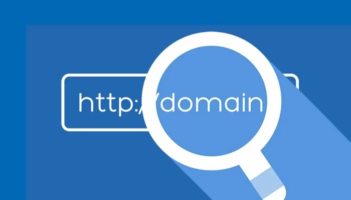 inregistrare domeniu web